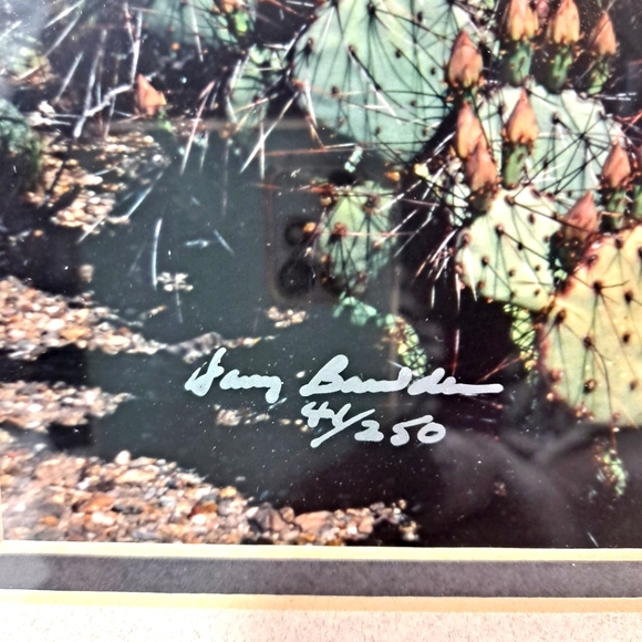 Harry Bowden "Boquillas Spring" Framed & Matted Photo Signed Limited Edition - Picture 11 of 14